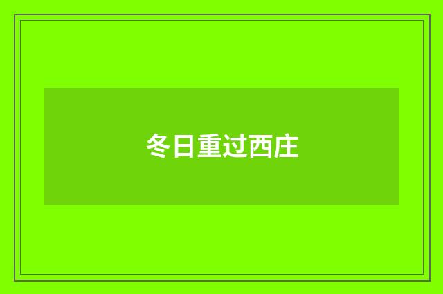 冬日重过西庄