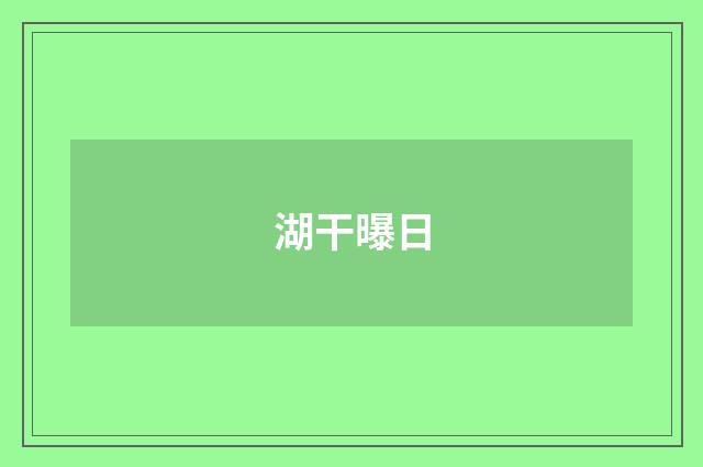 湖干曝日