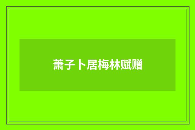 萧子卜居梅林赋赠