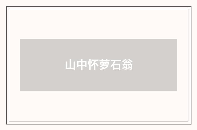 山中怀萝石翁