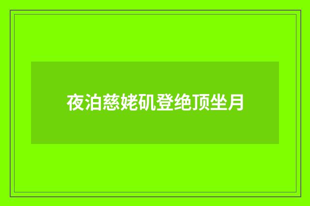 夜泊慈姥矶登绝顶坐月