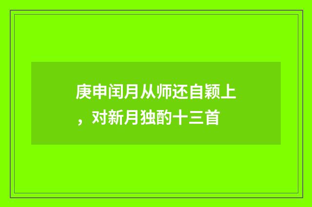 庚申闰月从师还自颖上，对新月独酌十三首
