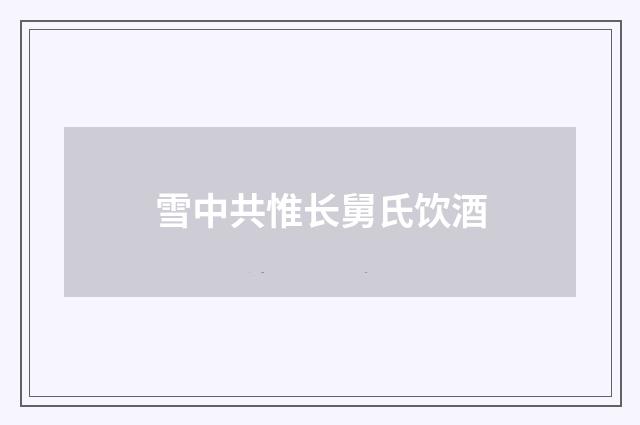 雪中共惟长舅氏饮酒