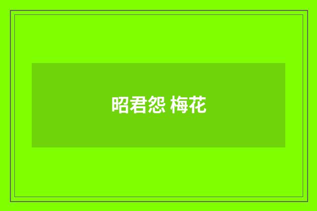 昭君怨 梅花
