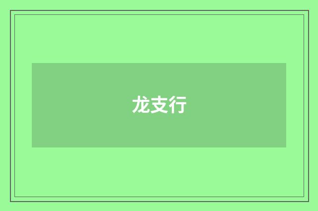 龙支行
