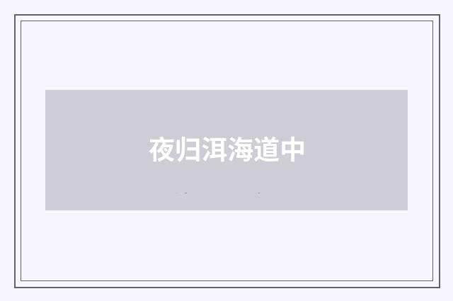 夜归洱海道中
