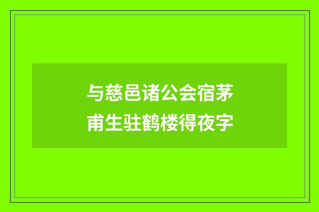 与慈邑诸公会宿茅甫生驻鹤楼得夜字