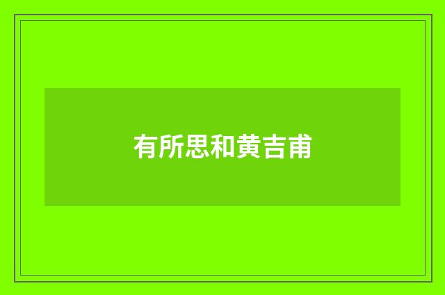 有所思和黄吉甫