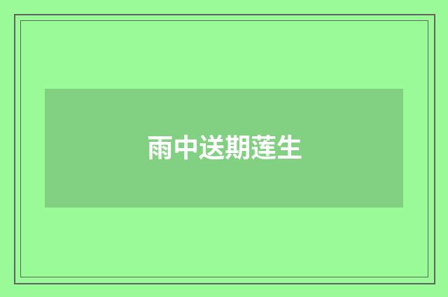 雨中送期莲生