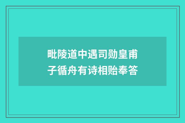 毗陵道中遇司勋皇甫子循舟有诗相贻奉答