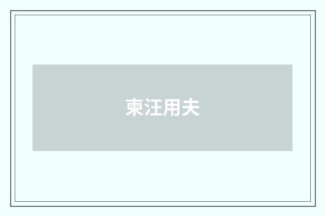 柬汪用夫