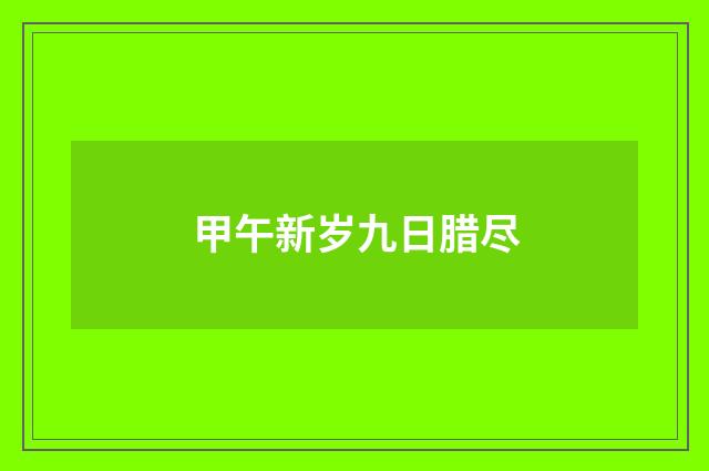 甲午新岁九日腊尽
