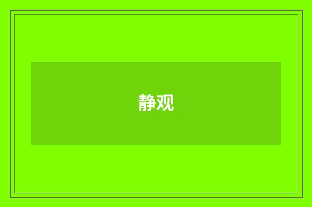 静观