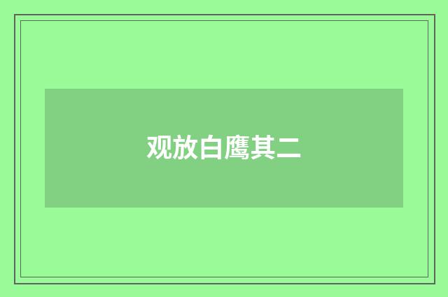 观放白鹰其二