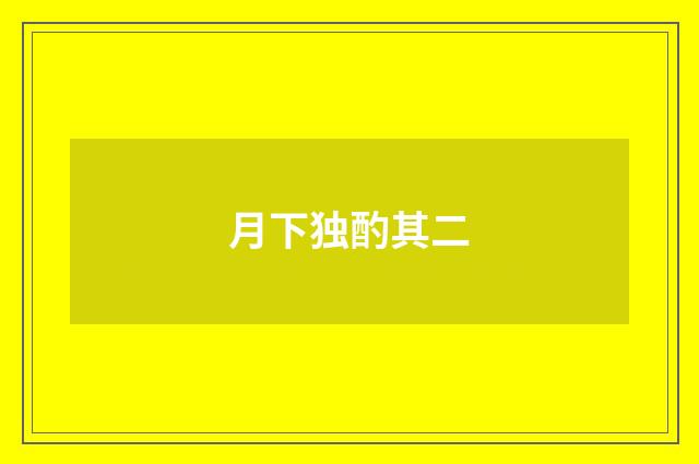 月下独酌其二