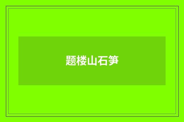 题楼山石笋