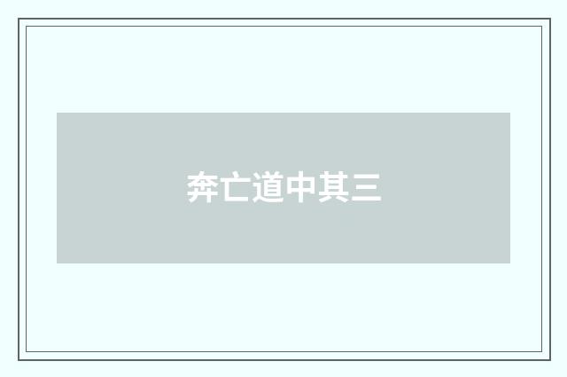 奔亡道中其三
