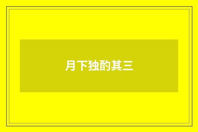 月下独酌其三
