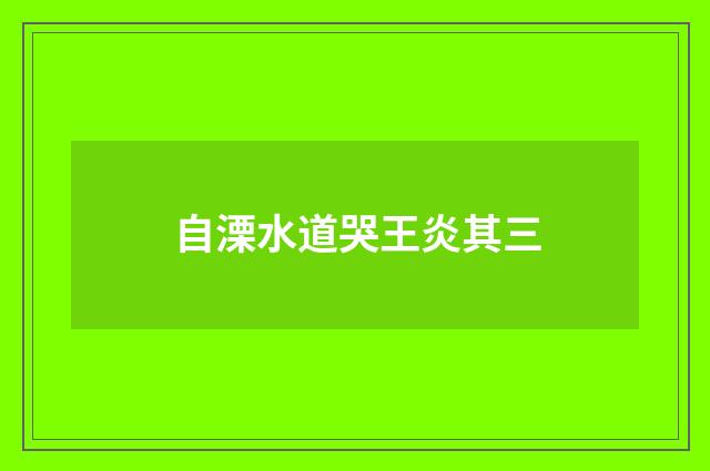 自溧水道哭王炎其三