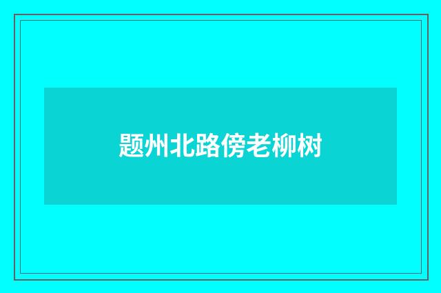 题州北路傍老柳树