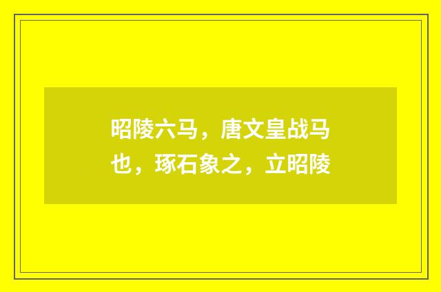昭陵六马，唐文皇战马也，琢石象之，立昭陵