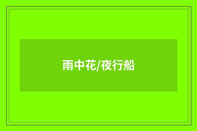 雨中花/夜行船