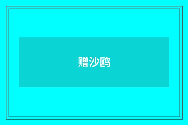 赠沙鸥