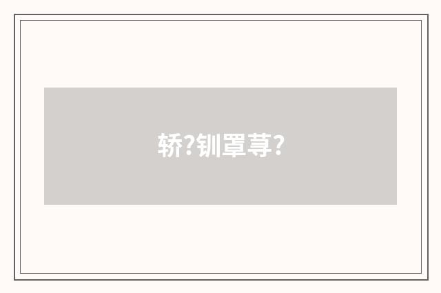 轿?钏罩荨?