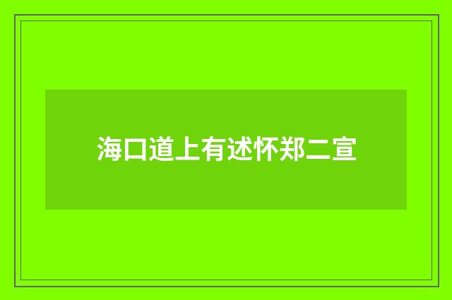 海口道上有述怀郑二宣