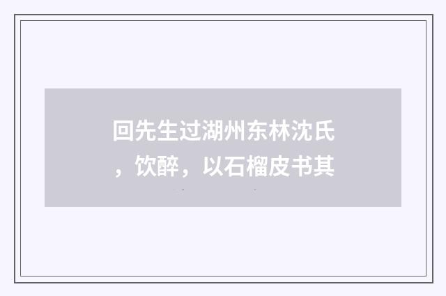 回先生过湖州东林沈氏，饮醉，以石榴皮书其