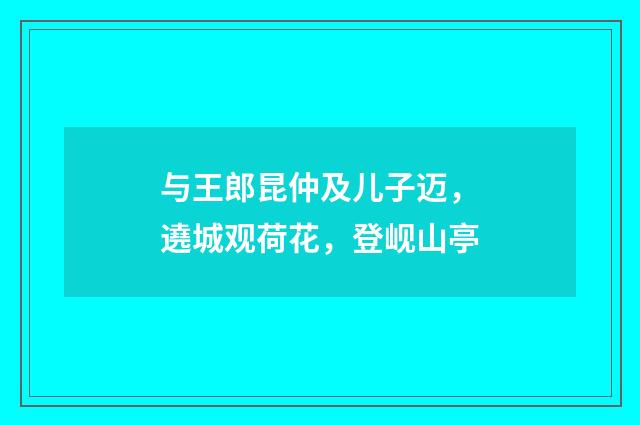 与王郎昆仲及儿子迈，遶城观荷花，登岘山亭