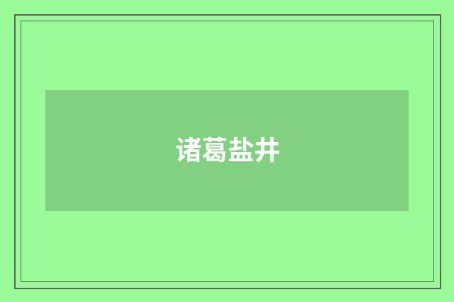 诸葛盐井