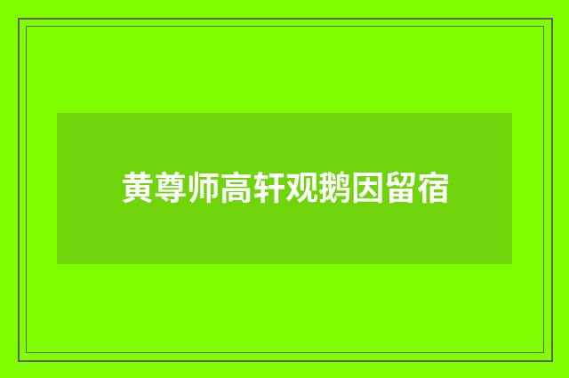黄尊师高轩观鹅因留宿