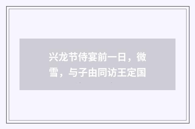 兴龙节侍宴前一日，微雪，与子由同访王定国