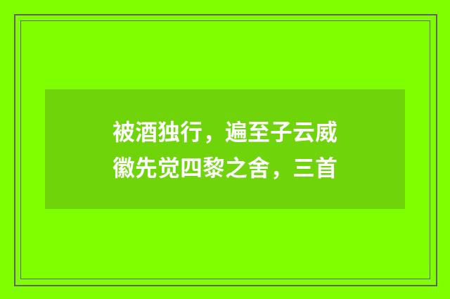 被酒独行，遍至子云威徽先觉四黎之舍，三首