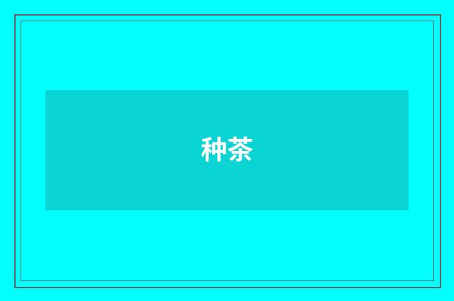 种茶