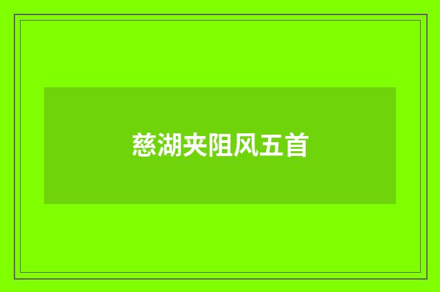 慈湖夹阻风五首