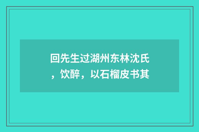 回先生过湖州东林沈氏，饮醉，以石榴皮书其