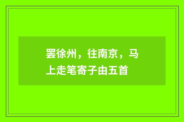 罢徐州，往南京，马上走笔寄子由五首