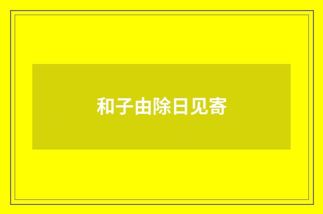 和子由除日见寄