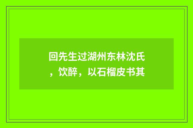 回先生过湖州东林沈氏，饮醉，以石榴皮书其