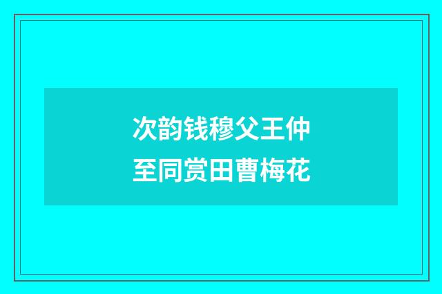 次韵钱穆父王仲至同赏田曹梅花