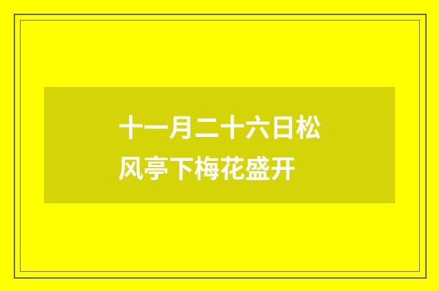 十一月二十六日松风亭下梅花盛开