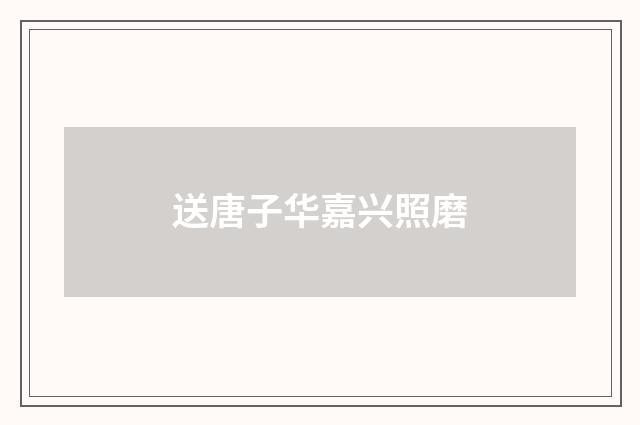 送唐子华嘉兴照磨