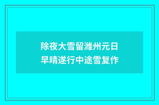 除夜大雪留潍州元日早晴遂行中途雪复作