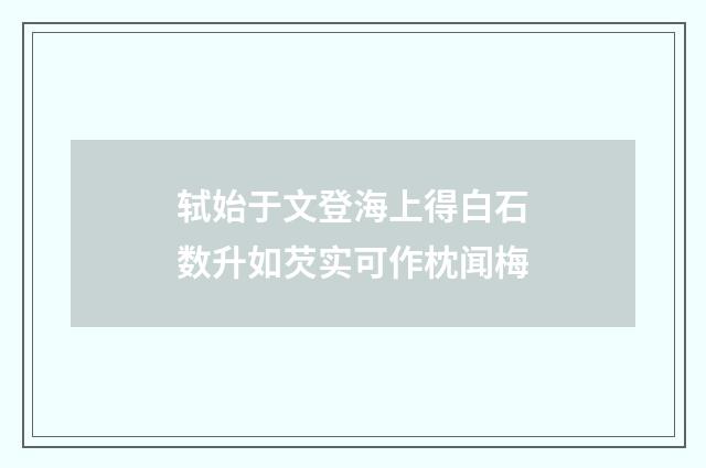 轼始于文登海上得白石数升如芡实可作枕闻梅