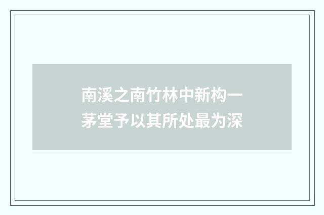 南溪之南竹林中新构一茅堂予以其所处最为深