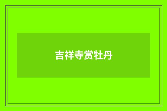 吉祥寺赏牡丹