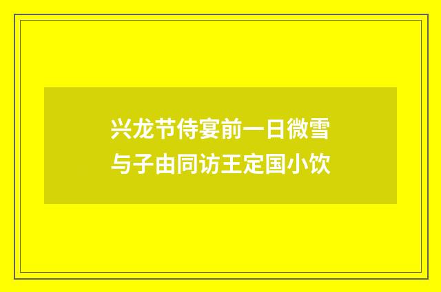 兴龙节侍宴前一日微雪与子由同访王定国小饮