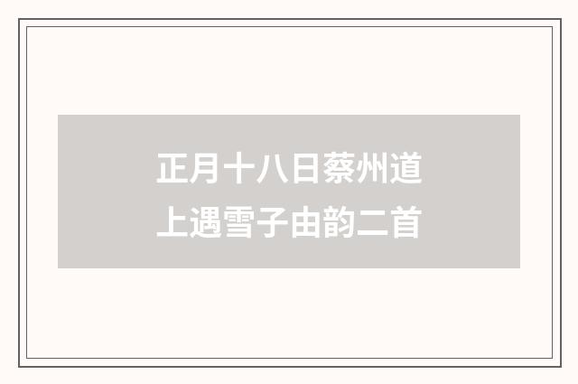正月十八日蔡州道上遇雪子由韵二首